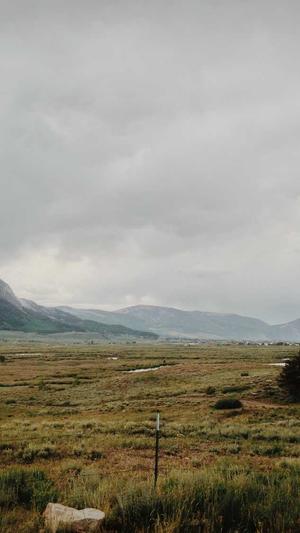 黑帽seo seo工具截图2