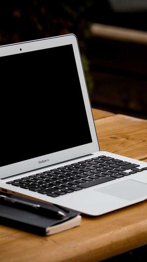 蜘蛛池免费seo博客截图2