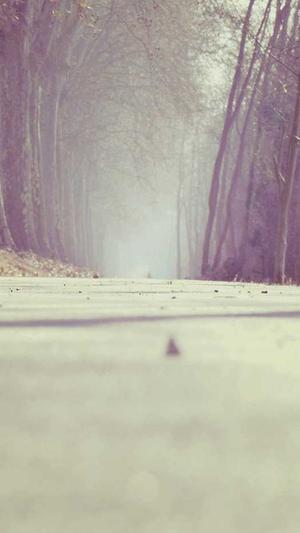 网站建设之婚礼摄影网站设计截图2