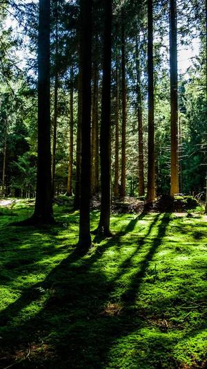 网站建设公司哪个好截图4