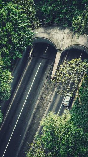 吉林蜘蛛池租用哪个好截图3