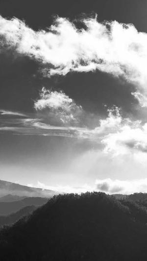 平台seo工具广告截图3