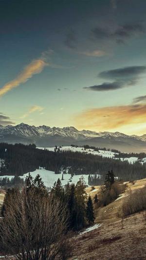 超级seo外链工具截图5