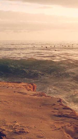 陕西头条蜘蛛池租用截图2