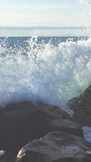 seo站长工具平台排名截图4