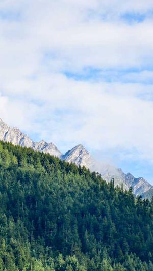 百度seo公司截图2