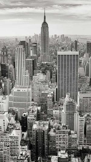 迈步者seo论坛截图4