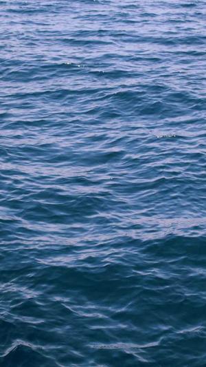 优化论坛seo工具截图2