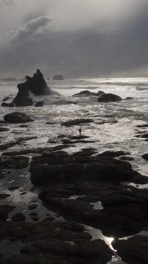 百度seo排名点击器截图1