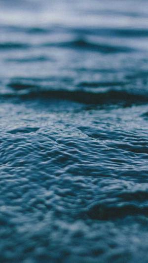 360蜘蛛池租用提供商截图2