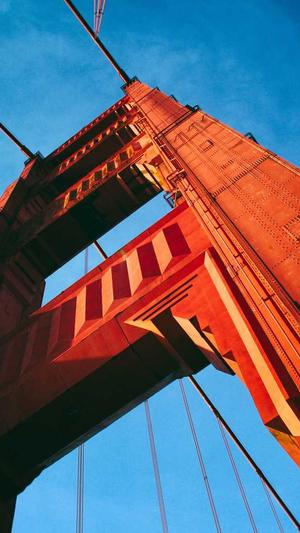 蜘蛛池免费seo博客截图4