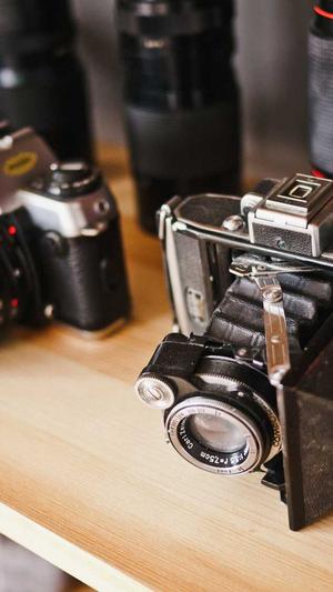 站群程序泛目录截图2