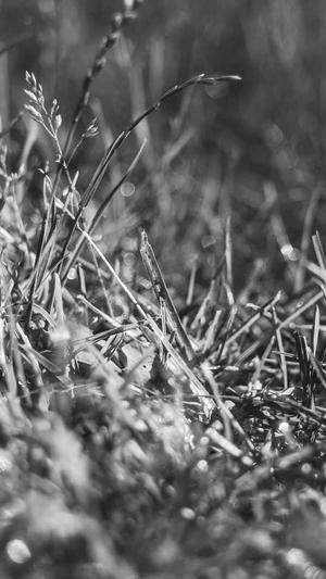 seo自动工具截图3