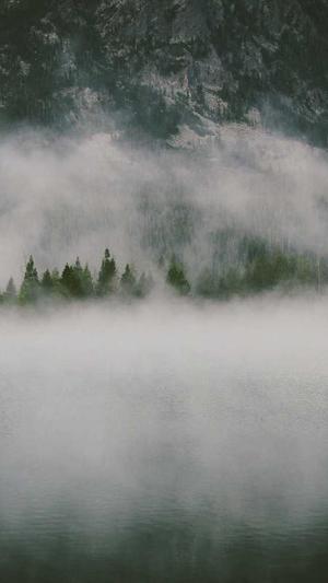 百度蜘蛛池出租提供商截图1