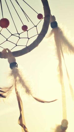 泛目录收录方法截图3