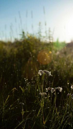 网站建设网截图3