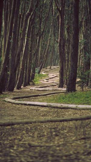 招商网站建设截图3