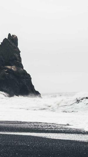 seo快速排名工具截图1