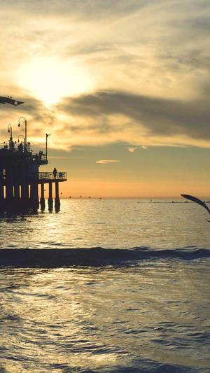 seo排版工具截图2