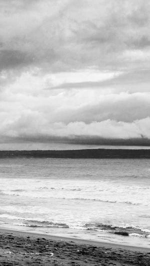 蜘蛛池到底有没有用的截图4