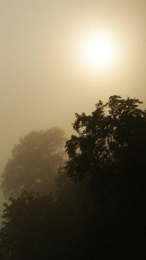 二级泛目录截图1