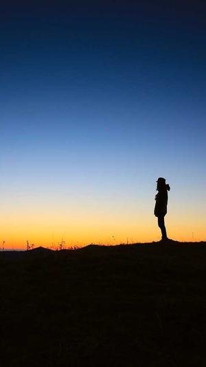 建设网站的网站首页截图2