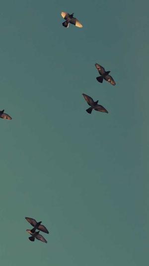 北京网站建设专业公司截图4