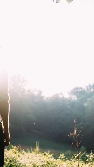 泛目录推广接单seo教程截图3