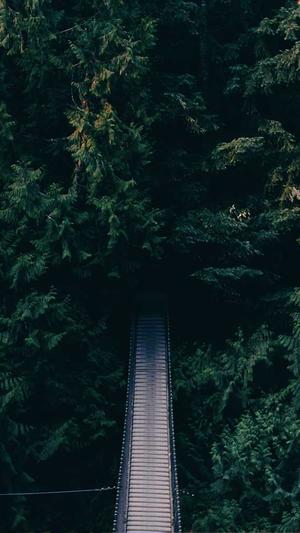 seo排名查询工具截图5