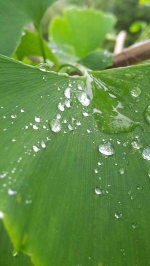 重庆seo排名优化截图3