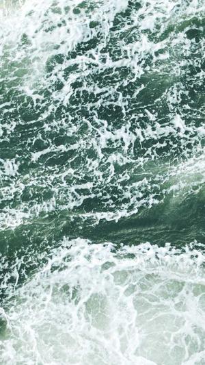 seo工具优化截图3