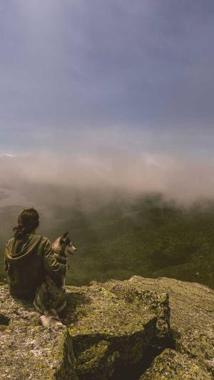 seo排名有效的工具截图3