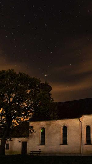 自己搭建蜘蛛池价格截图3