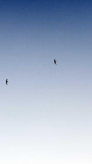 seo关键词选取工具截图4