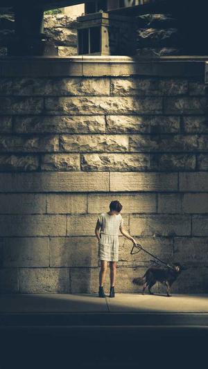 百度seo公司截图3