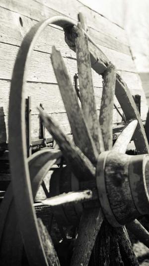 seo关键词排名快速工具截图2