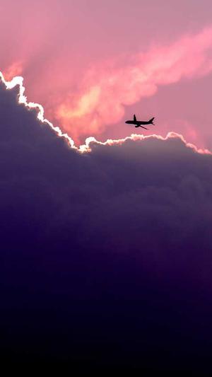 蜘蛛池源码是真的吗截图2