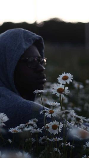 网站seo站长工具截图3