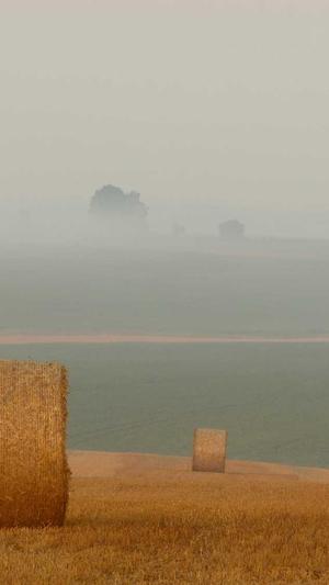 seo优化学习截图4