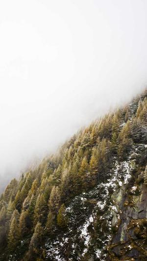 动态蜘蛛池截图2