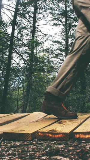 上海集团网站建设截图3