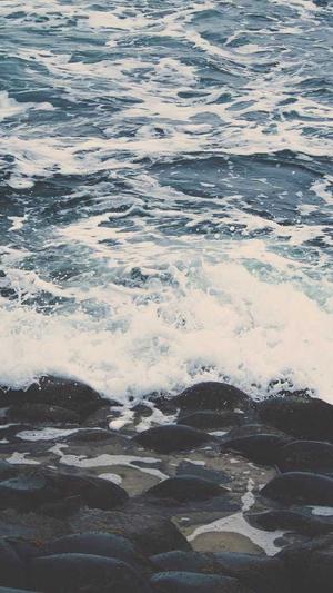 专业seo优化工具截图5