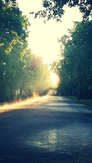 常用的seo查询工具外推截图3