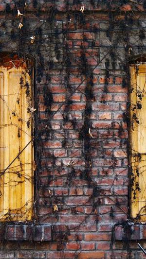 站群程序泛目录截图4