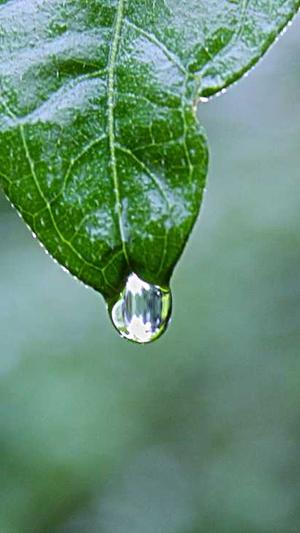 牛人蜘蛛池截图4