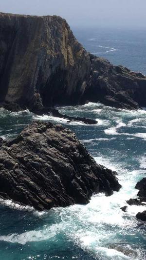 做网站建设公司截图5