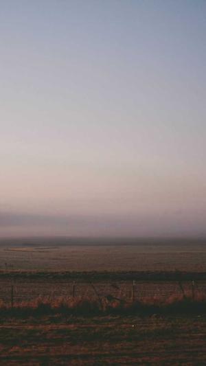 常用的seo查询工具外推截图1