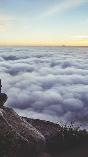 哈尔滨seo工具截图3