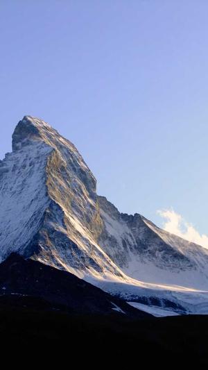 蜘蛛池技术视频教学截图3