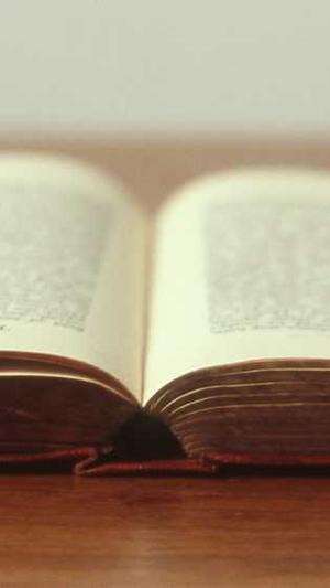 seo自动推广工具关键词截图1